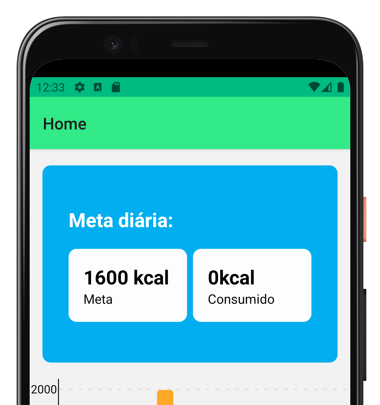 app mockup